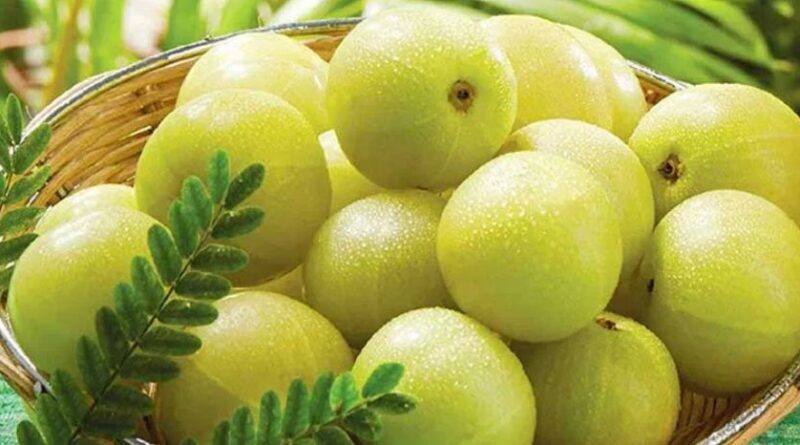 benefits of amla